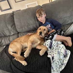 Fundraising Page: Jack Jumper